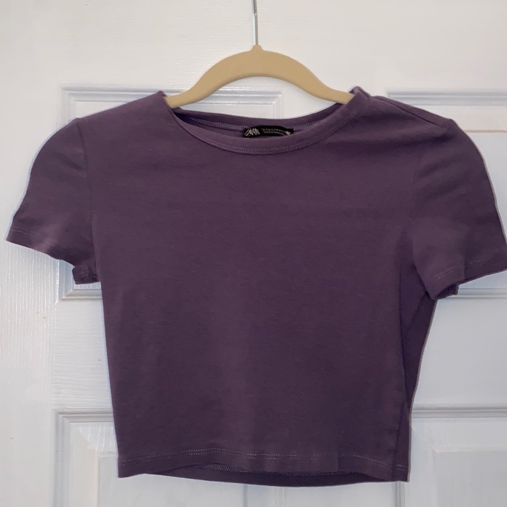 Cropped Zara Fitted TShirt